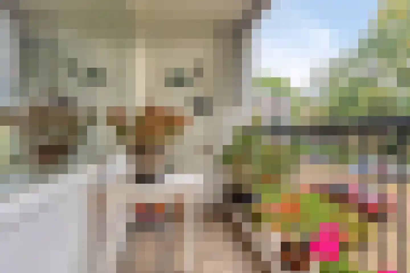 De Boelelaan 235 Amsterdam thumbnail 17
