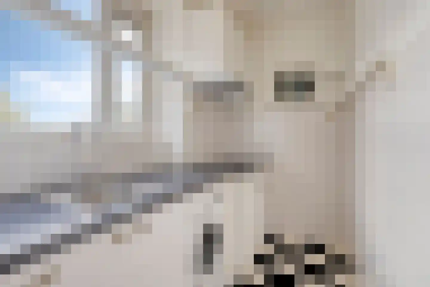 De Boelelaan 235 Amsterdam thumbnail 7