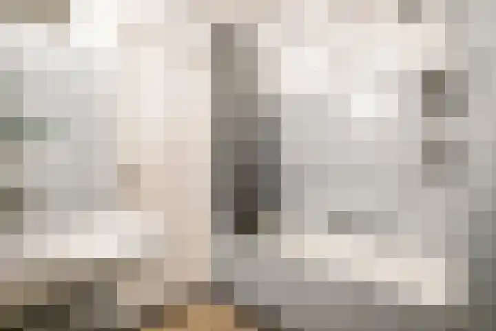 De Boelelaan 329 Amsterdam thumbnail 17