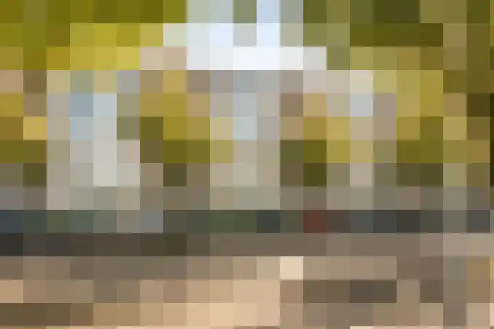 De Boelelaan 329 Amsterdam thumbnail 22