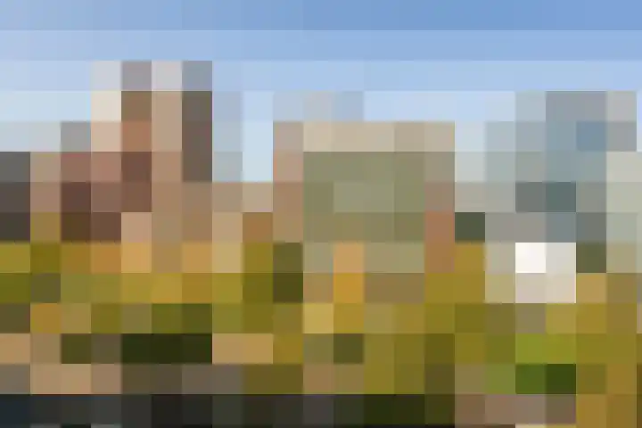 De Boelelaan 329 Amsterdam thumbnail 5