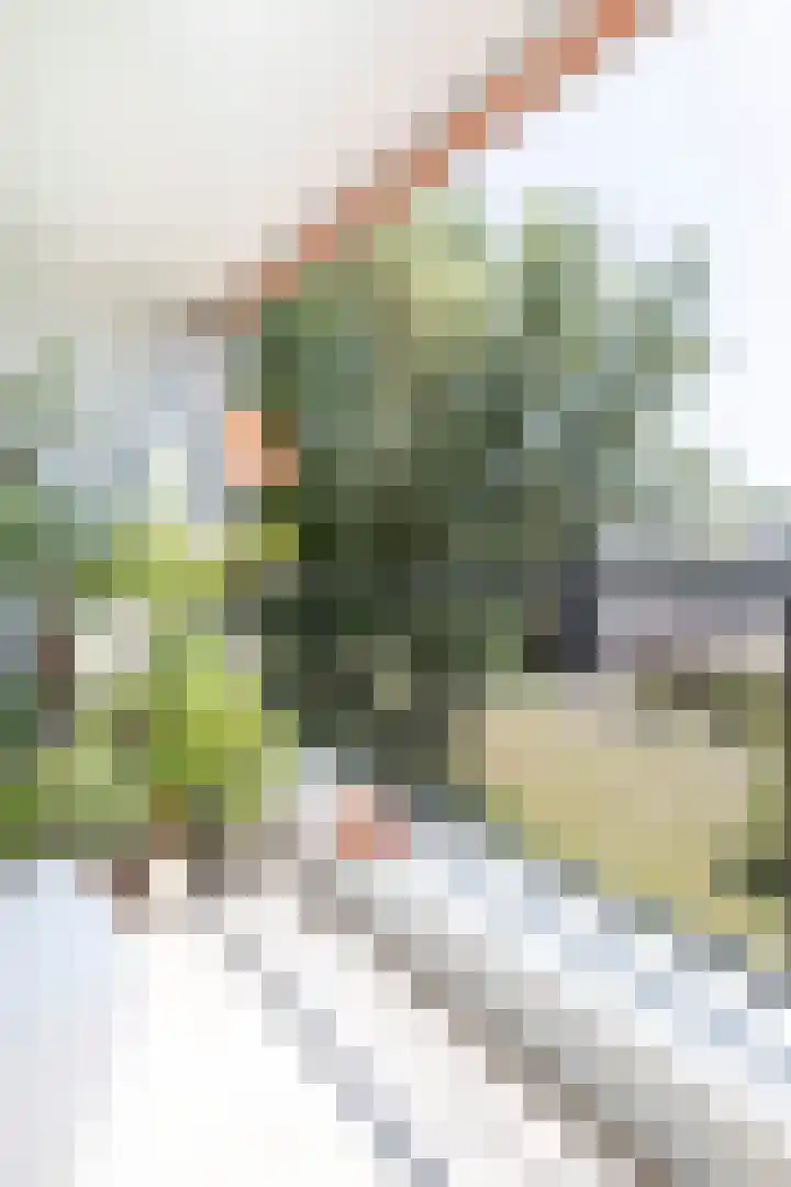 De Boelelaan 351 Amsterdam thumbnail 15