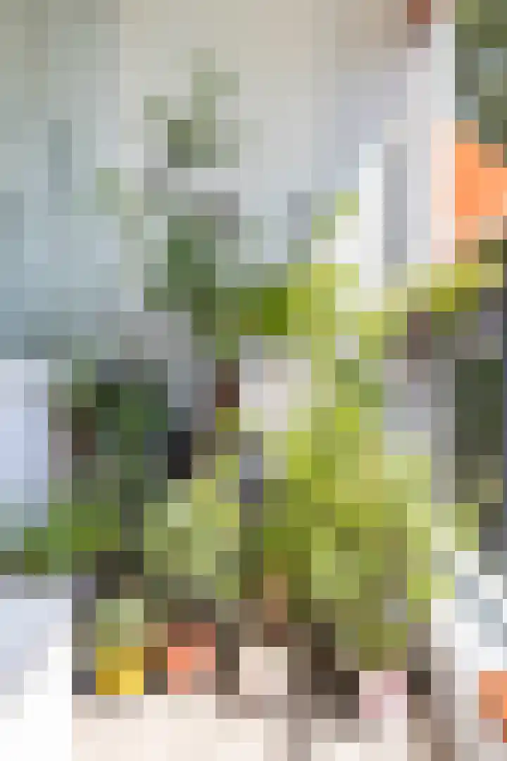 De Boelelaan 351 Amsterdam thumbnail 17