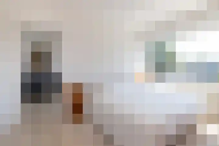 De Boelelaan 351 Amsterdam thumbnail 22