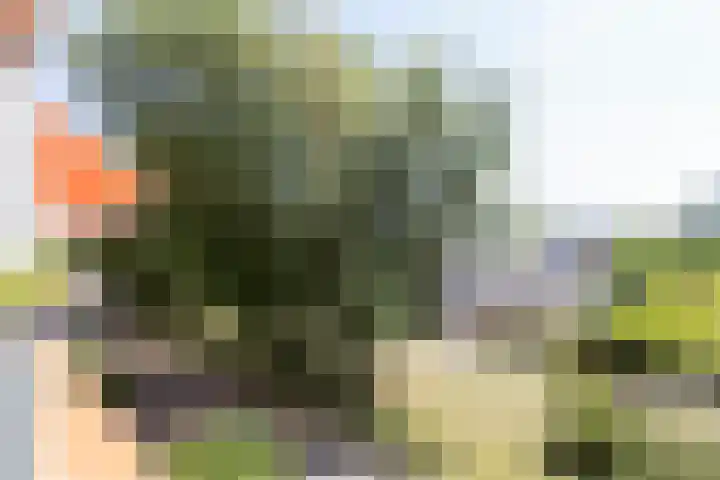 De Boelelaan 351 Amsterdam thumbnail 24