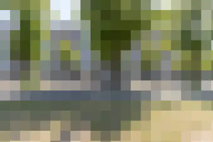 De Boelelaan 351 Amsterdam thumbnail 30