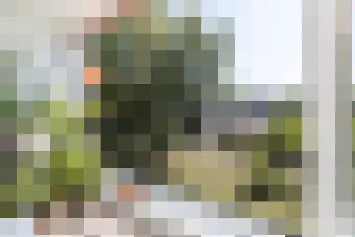 De Boelelaan 351 Amsterdam thumbnail 5