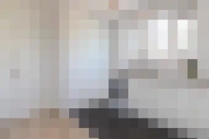 De Boelelaan 351 Amsterdam thumbnail 8