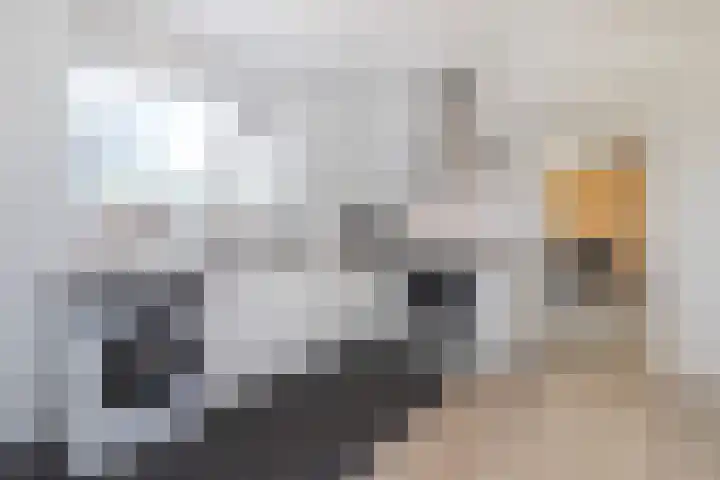 De Boelelaan 351 Amsterdam thumbnail 9