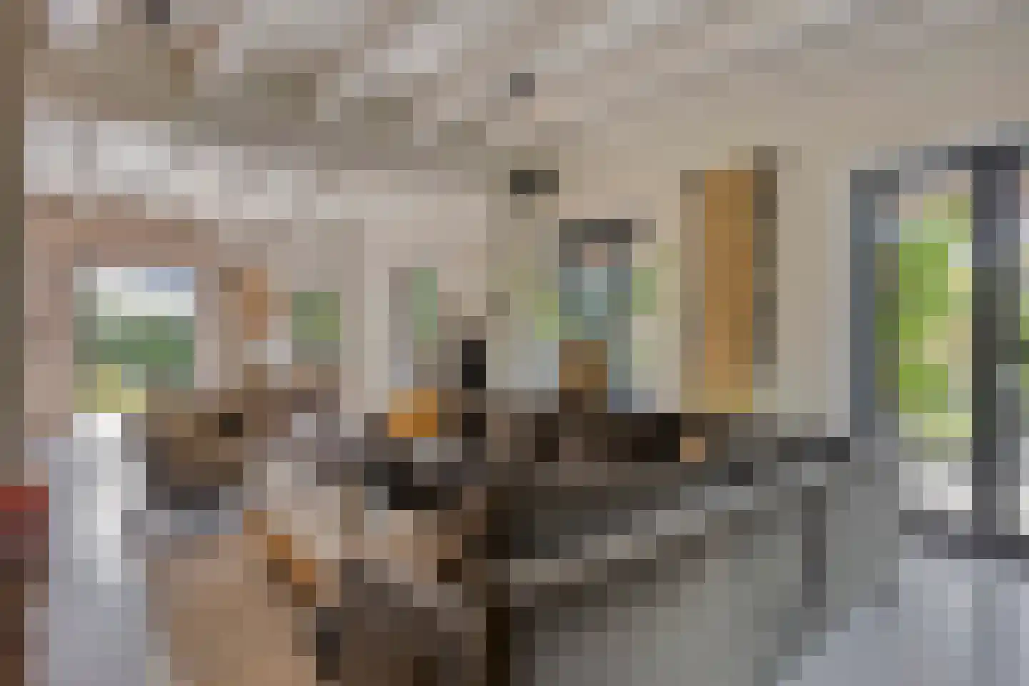 De Boender 27 Noordwijk thumbnail 14