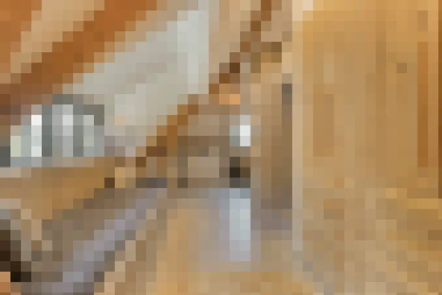 De Boender 27 Noordwijk thumbnail 31