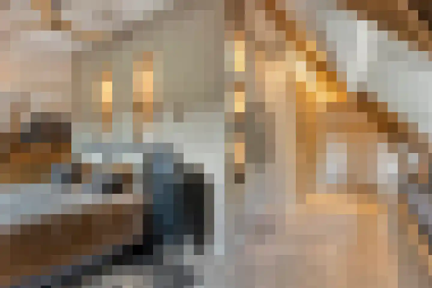 De Boender 27 Noordwijk thumbnail 32