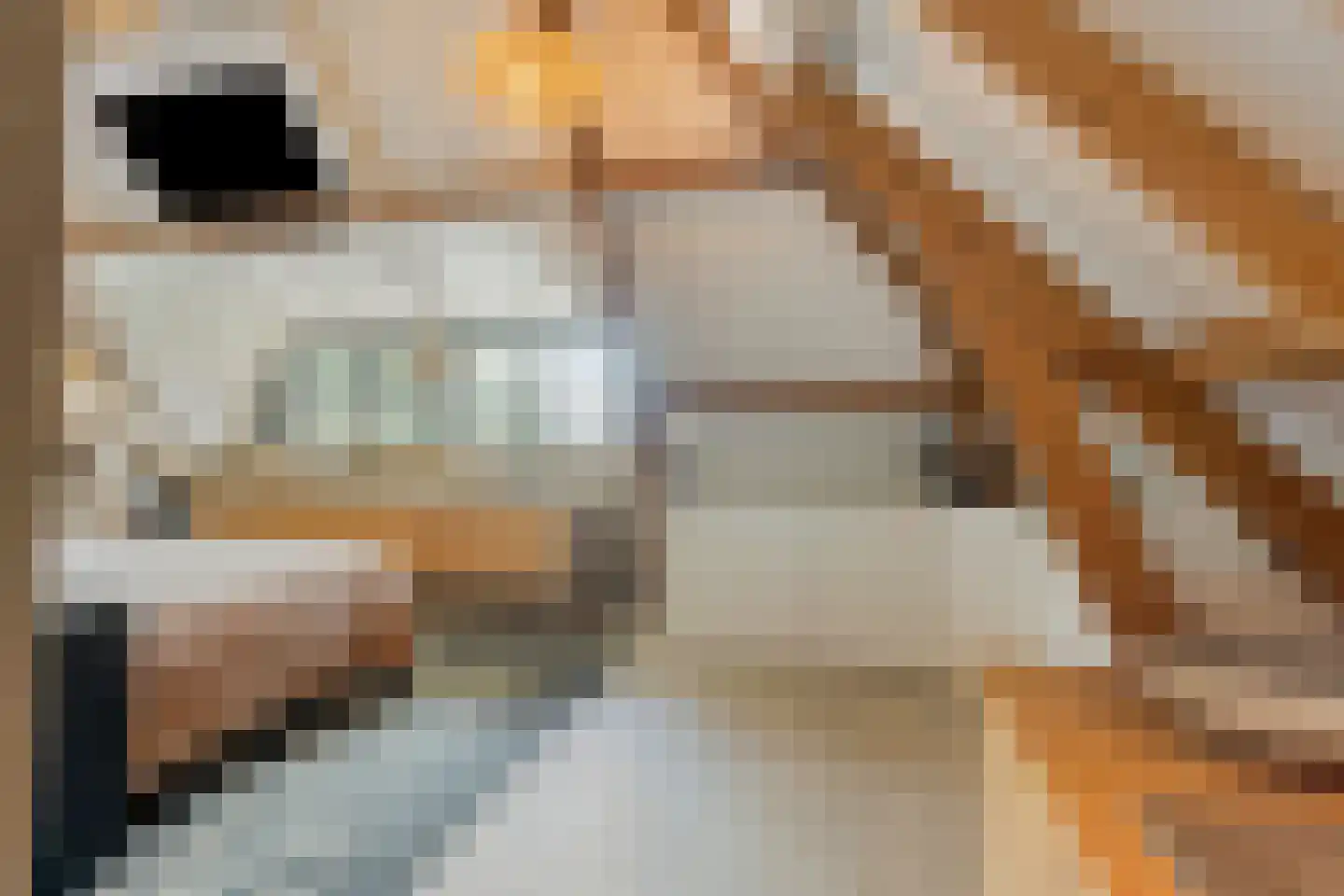 De Boender 27 Noordwijk thumbnail 36