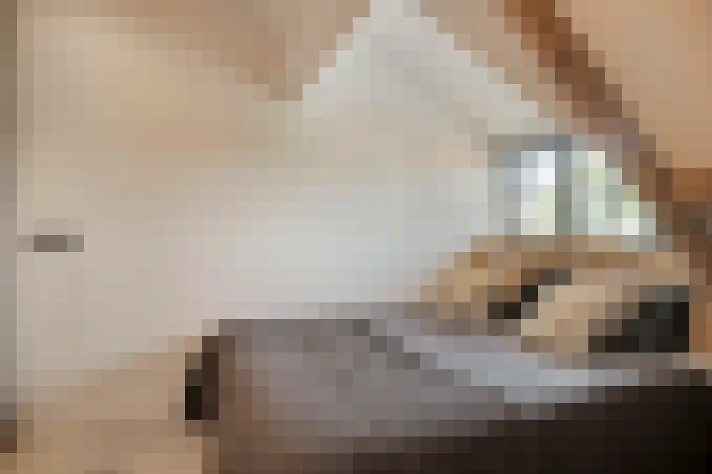 De Boender 27 Noordwijk thumbnail 41