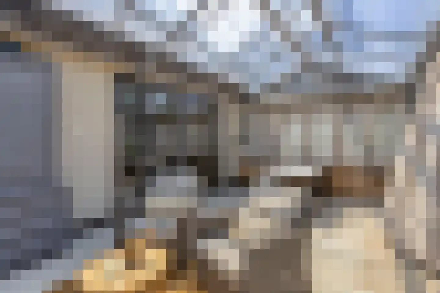 De Boender 27 Noordwijk thumbnail 54