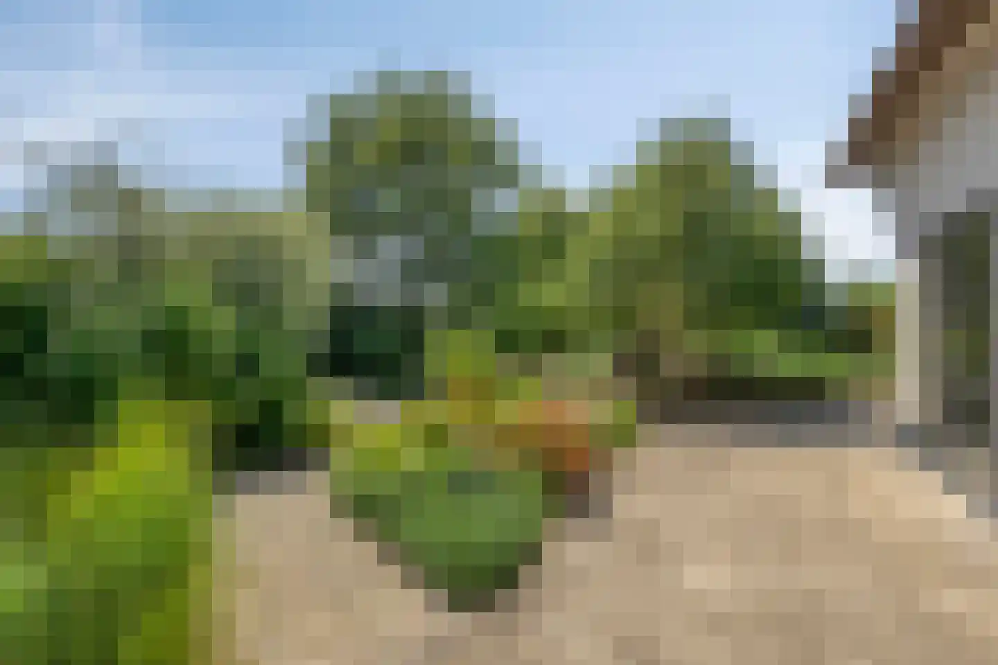 De Boender 27 Noordwijk thumbnail 56