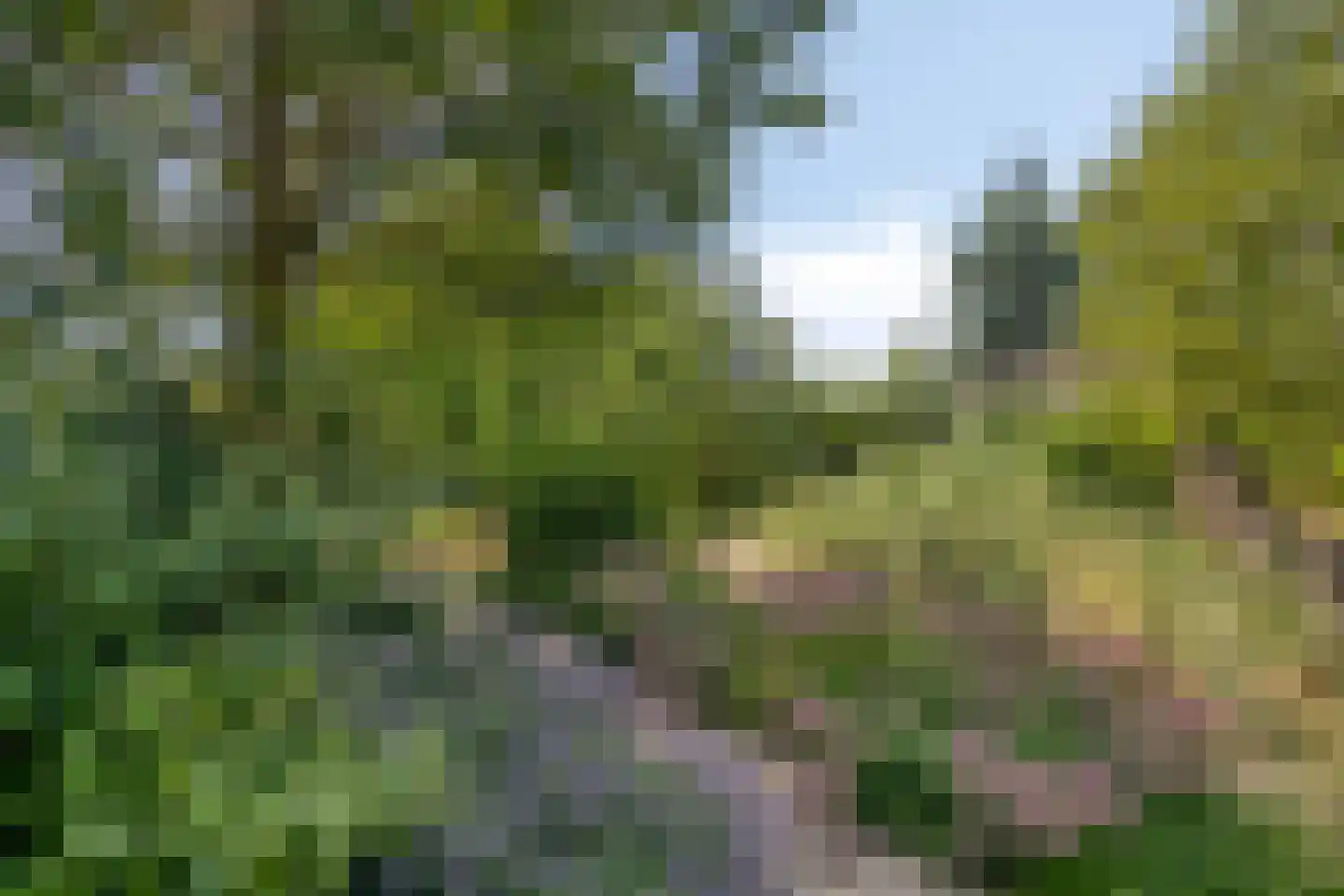 De Boender 27 Noordwijk thumbnail 57
