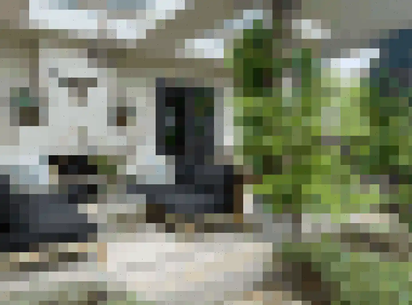 De Boender 27 Noordwijk thumbnail 59