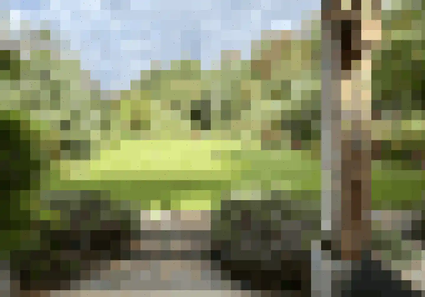 De Boender 27 Noordwijk thumbnail 60