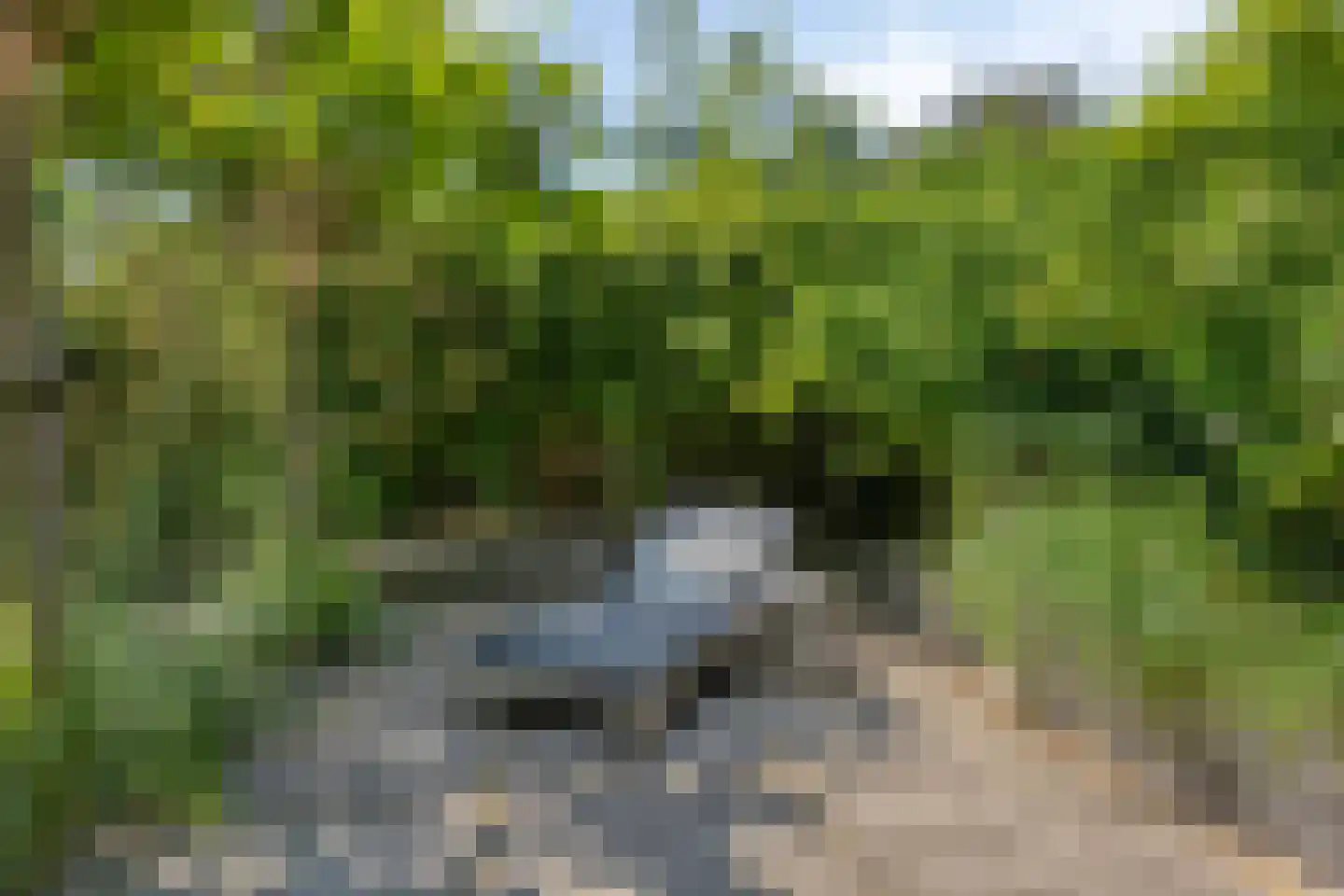 De Boender 27 Noordwijk thumbnail 66