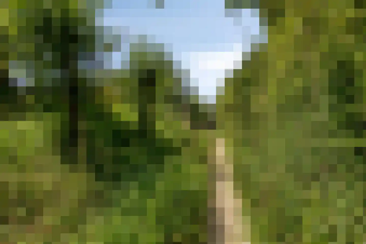 De Boender 27 Noordwijk thumbnail 69