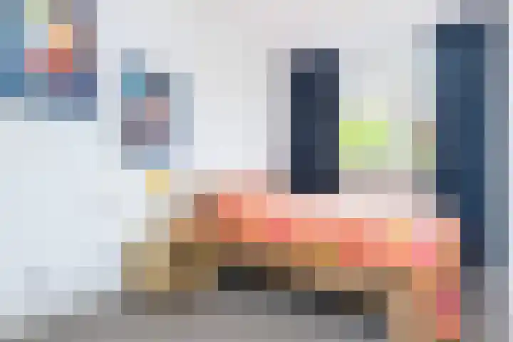 De Boerboom 5 Loenen thumbnail 21
