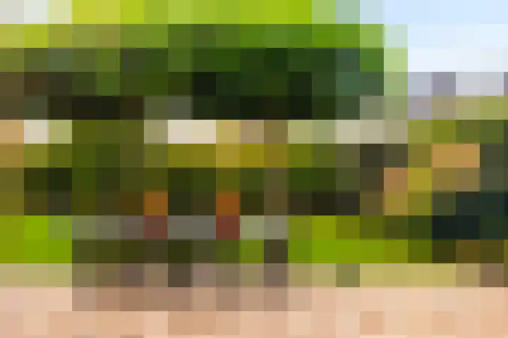 De Boerboom 5 Loenen thumbnail 25