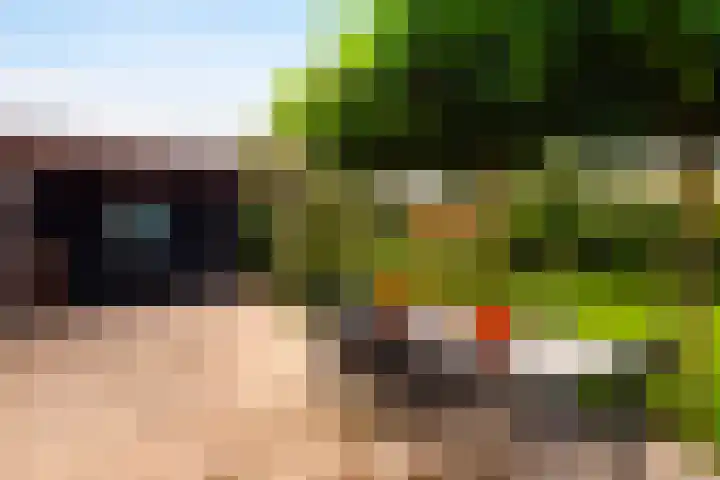 De Boerboom 5 Loenen thumbnail 26