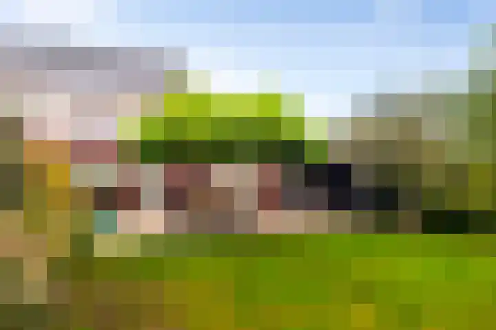 De Boerboom 5 Loenen thumbnail 27