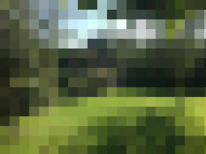 De Boerboom 5 Loenen thumbnail 32