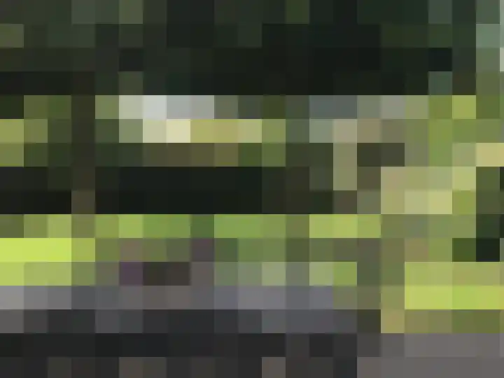De Boerboom 5 Loenen thumbnail 33