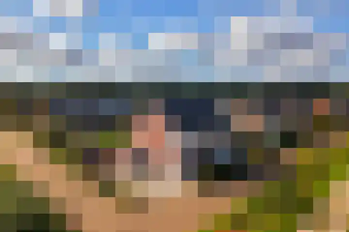 De Boerboom 5 Loenen thumbnail 34