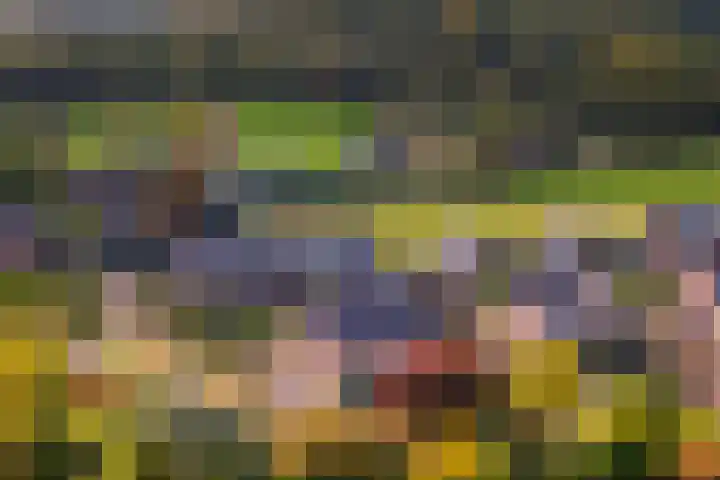 De Boerboom 5 Loenen thumbnail 35