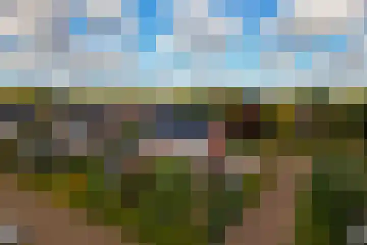 De Boerboom 5 Loenen thumbnail 36