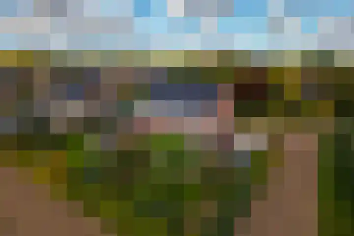 De Boerboom 5 Loenen thumbnail 37