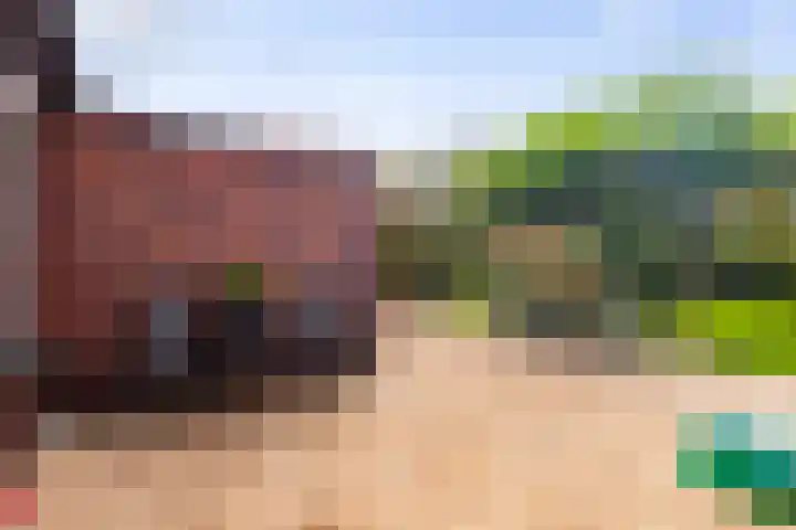 De Boerboom 5 Loenen thumbnail 4
