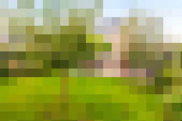 De Boerboom 5 Loenen thumbnail 5
