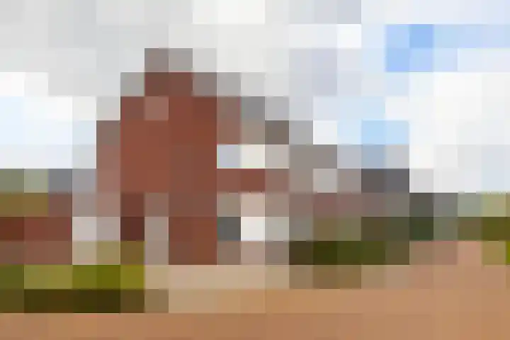 De Boerboom 5 Loenen thumbnail 7
