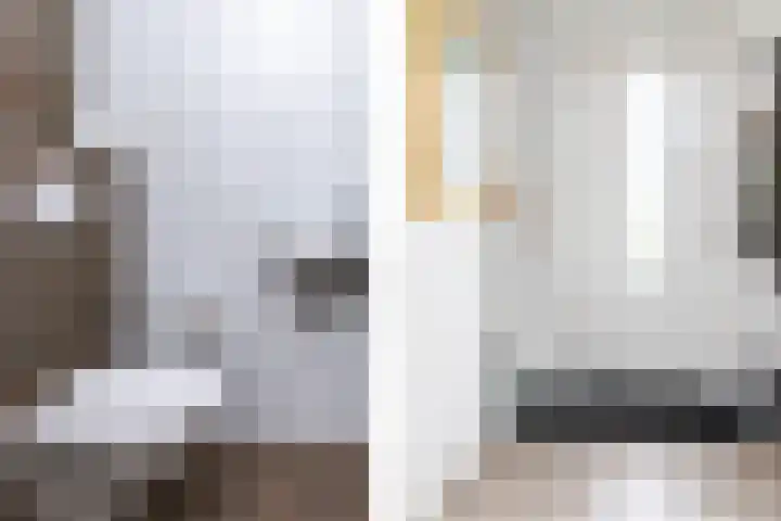 De Boerboom 5 Loenen thumbnail 8