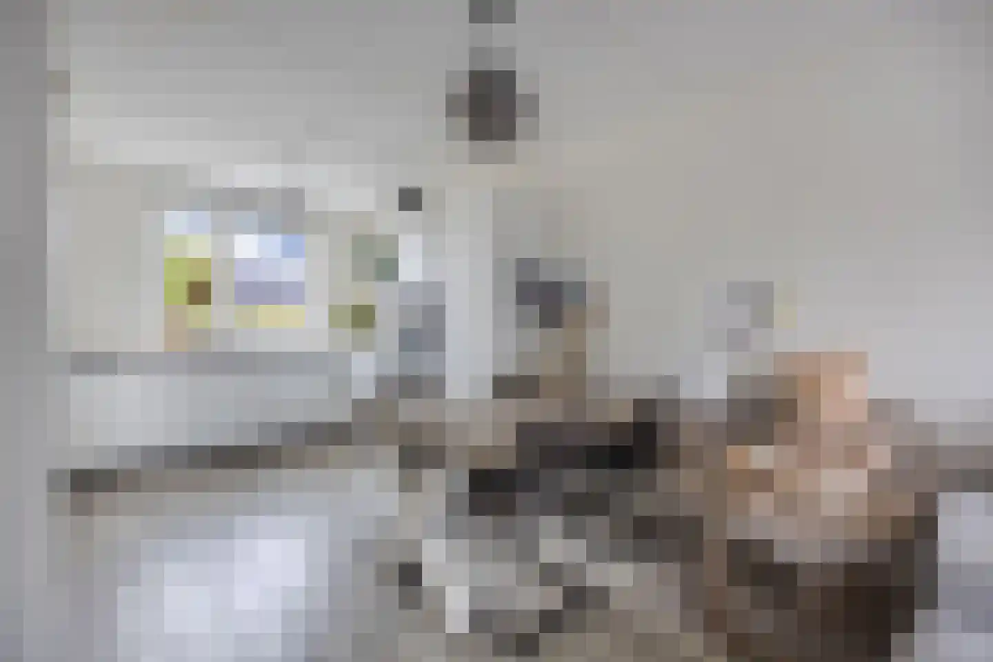 De Boerenkermis 12 Dronten thumbnail 21