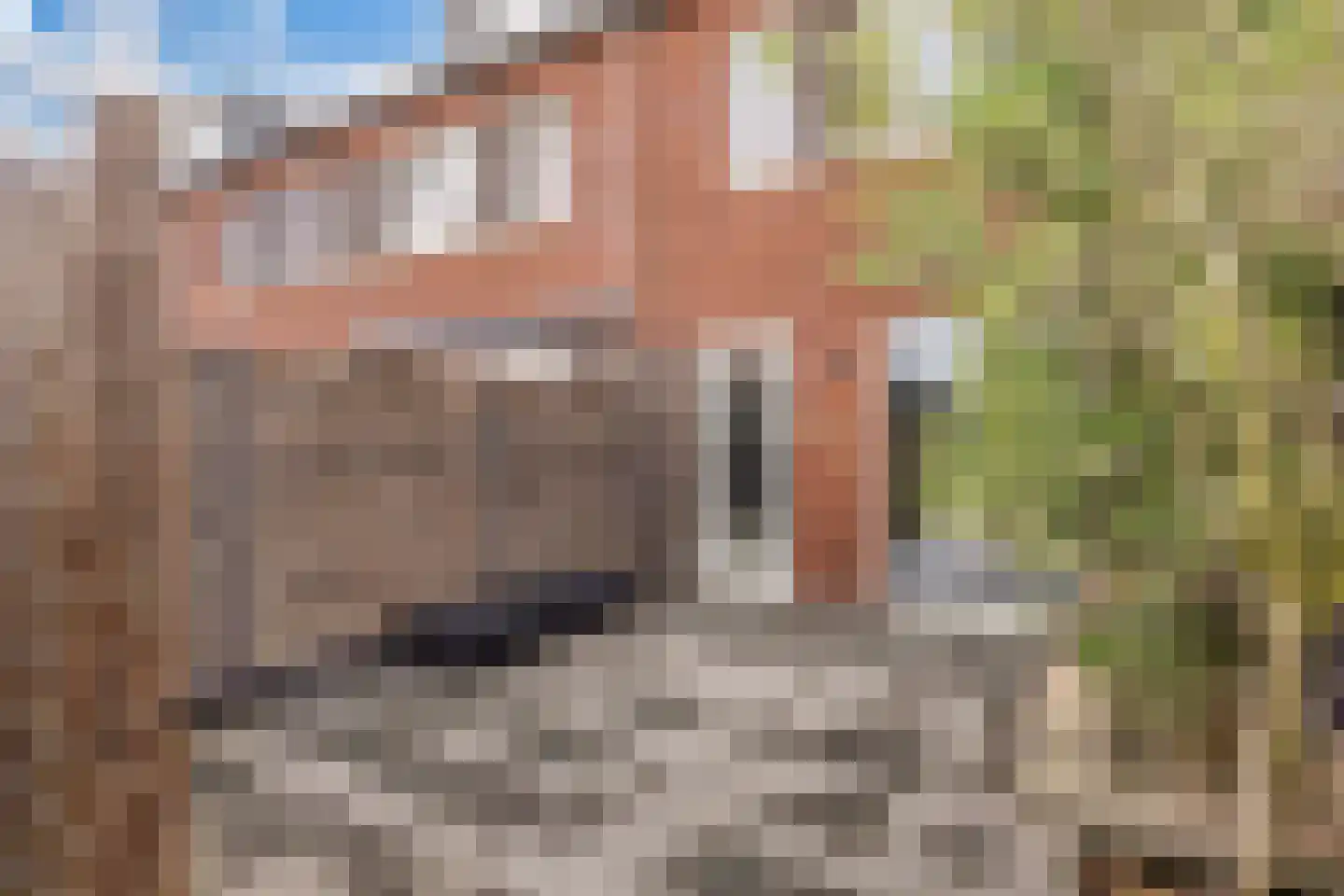 De Boerenkermis 12 Dronten thumbnail 42