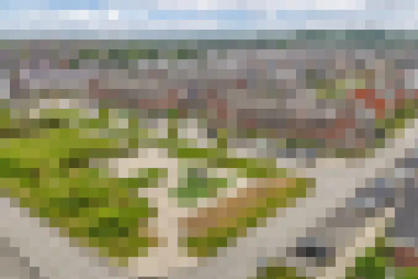 De Boerenkermis 12 Dronten thumbnail 5