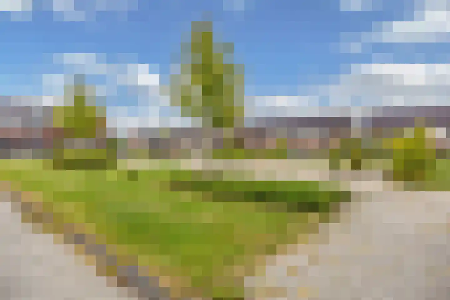 De Boerenkermis 12 Dronten thumbnail 51