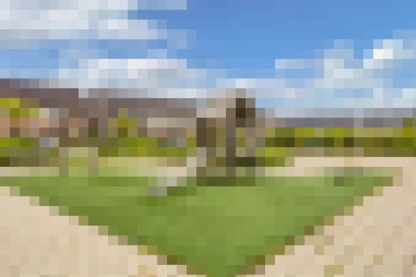 De Boerenkermis 12 Dronten thumbnail 52