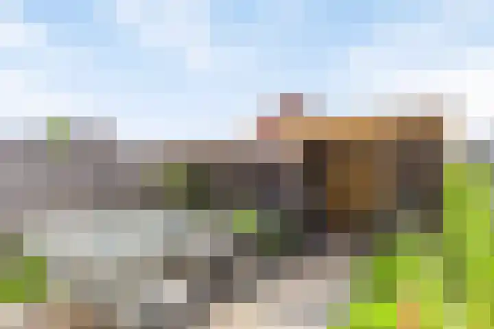 De Boerenkermis 2 Dronten thumbnail 25