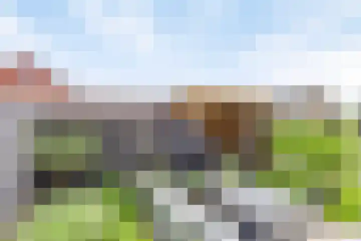 De Boerenkermis 2 Dronten thumbnail 26