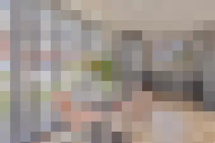 De Boerenkermis 2 Dronten foto 3