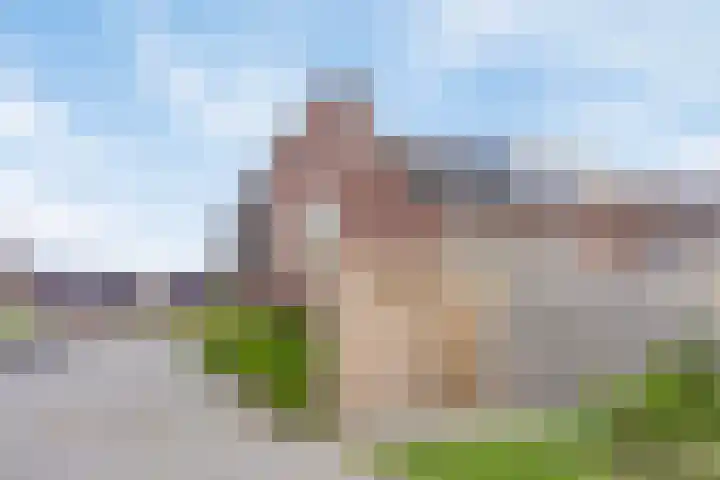 De Boerenkermis 2 Dronten thumbnail 31