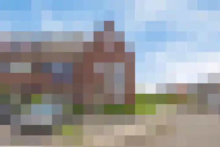 De Boerenkermis 2 Dronten thumbnail 5