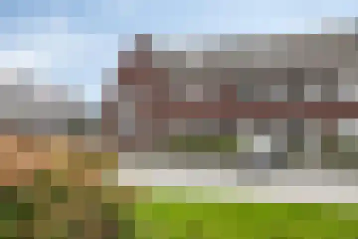 De Boerenkermis 34 Dronten thumbnail 32